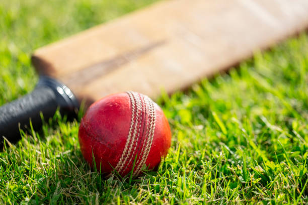 Best Online Cricket ID Provider
